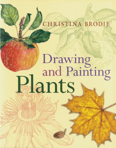 9780881928419: Drawing and Painting Plants