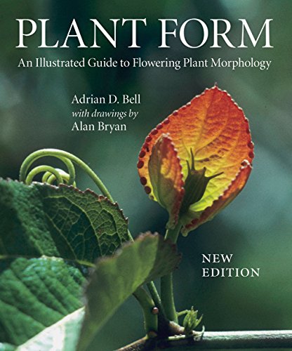 9780881928501: Plant Form: An Illustrated Guide to Flowering Plant Morphology