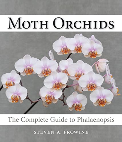 Beispielbild fr Moth Orchids: The Complete Guide to Phalaenopsis zum Verkauf von ThriftBooks-Atlanta