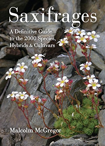 Imagen de archivo de Saxifrages: The Definitive Guide to 2000 Species, Hybrids & Cultivars a la venta por Your Online Bookstore