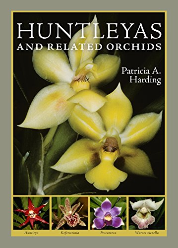 Stock image for Huntleyas and Related Orchids Harding, Patricia A. for sale by Affinity Books