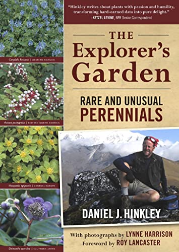 Stock image for The Explorer's Garden: Rare and Unusual Perennials for sale by SecondSale