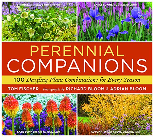 Stock image for Perennial Companions : 100 Dazzling Plant Combinations for Every Season for sale by Better World Books: West