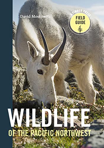Stock image for Wildlife of the Pacific Northwest: Tracking and Identifying Mammals, Birds, Reptiles, Amphibians, and Invertebrates (A Timber Press Field Guide) for sale by HPB Inc.