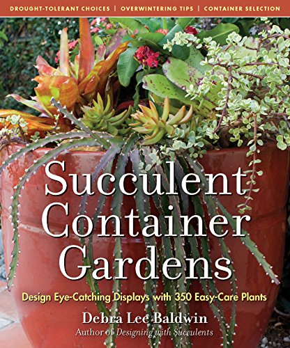 Imagen de archivo de Succulent Container Gardens : Design Eye-Catching Displays with 350 Easy-Care Plants a la venta por Better World Books