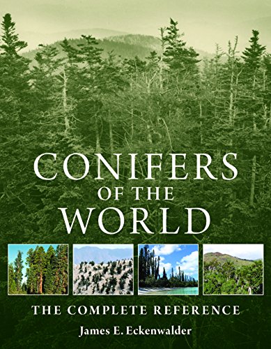9780881929744: Conifers of the World: The Complete Reference