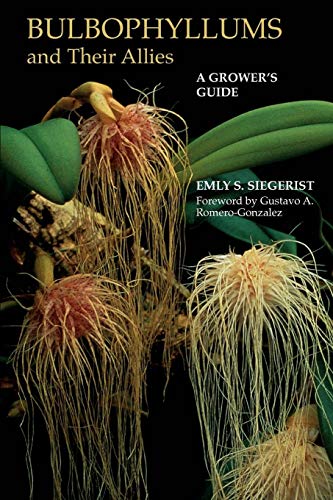 Imagen de archivo de Bulbophyllums and Their Allies: A Grower's Guide a la venta por Lucky's Textbooks