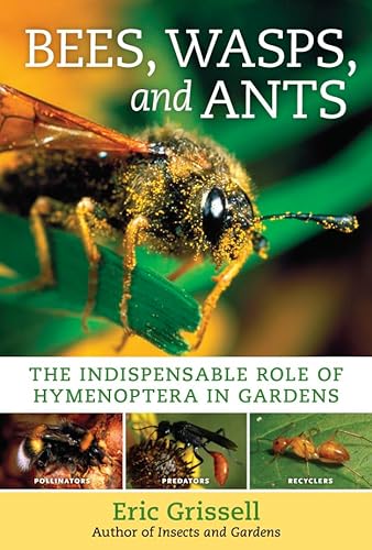 Stock image for Bees, Wasps, and Ants : The Indispensable Role of Hymenoptera in Gardens for sale by Better World Books
