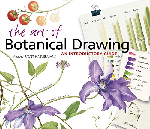 Stock image for The Art of Botanical Drawing: An Introductory Guide for sale by Half Price Books Inc.