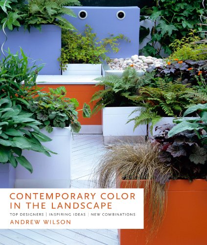 Stock image for Contemporary Color in the Landscape : Top Designers, Inspiring Ideas, New Combinations for sale by Better World Books