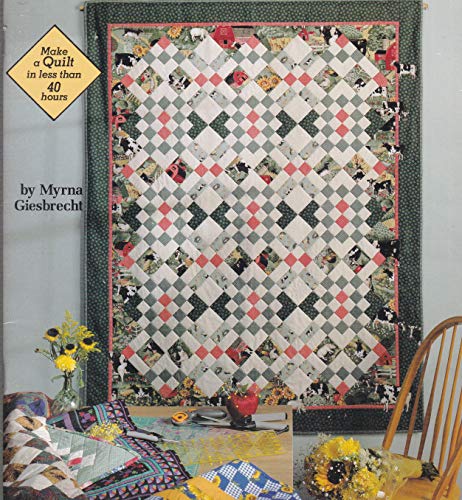 Stock image for Strip Quilts in a Hurry for sale by Jenson Books Inc