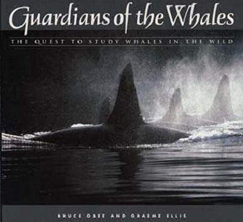 Stock image for GUARDIANS OF THE WHALES, THE QUEST TO STUDY WHALES IN THE WILD for sale by Larry W Price Books