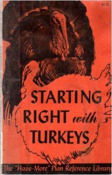 Starting Right with Turkeys