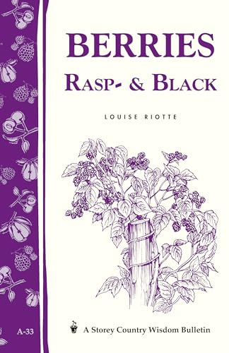 Stock image for Berries, Rasp- & Black for sale by GF Books, Inc.