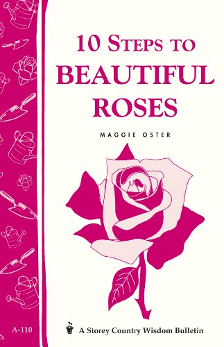 Stock image for 10 Steps to Beautiful Roses for sale by ThriftBooks-Atlanta