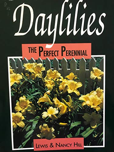 Daylilies, the Perfect Perennial