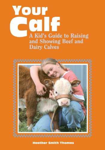 Beispielbild fr Your Calf : A Kid's Guide to Raising and Showing Beef and Dairy Calves zum Verkauf von Better World Books: West