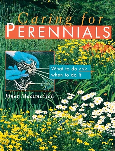 Imagen de archivo de Caring for Perennials : What to Do and When to Do It a la venta por Better World Books