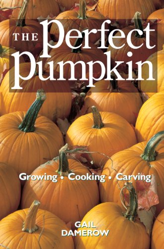 The Perfect Pumpkin Growing/Cooking/Carving