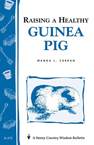 Imagen de archivo de Raising a Healthy Guinea Pig: Storey's Country Wisdom Bulletin A-173 (Storey Country Wisdom Bulletin) a la venta por RiLaoghaire
