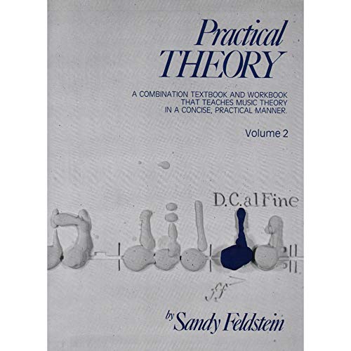 Stock image for Practical Theory: Volume 2 for sale by SecondSale