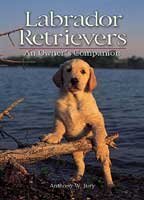 Beispielbild fr Labrador Retrievers: An Owner's Companion zum Verkauf von Wonder Book