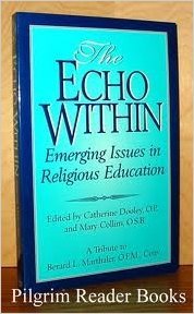 Imagen de archivo de The Echo Within: Emerging Issues in Religious Education a la venta por HPB-Ruby