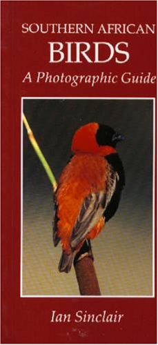Stock image for Southern African Birds: A Photographic Guide [Paperback] Ian Sinclair and Sinclair, Ian for sale by Turtlerun Mercantile