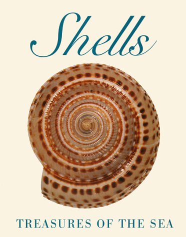 Shells: Treasures of the Sea