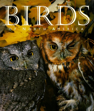 Beispielbild fr Birds of North America zum Verkauf von Better World Books: West
