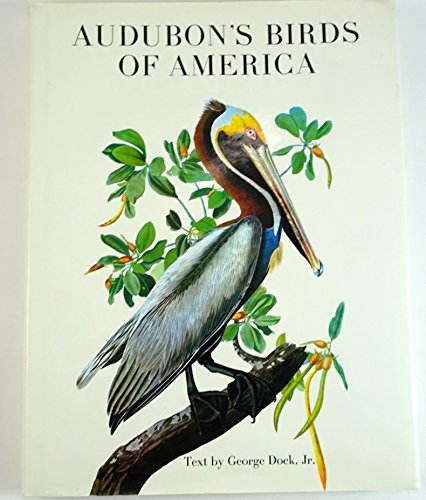 Stock image for Audubons Birds of America for sale by Wonder Book