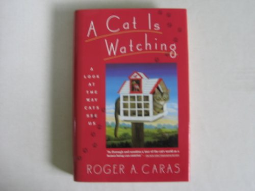 Beispielbild fr A Cat Is Watching : A Look at the Way Cats See Us zum Verkauf von Better World Books