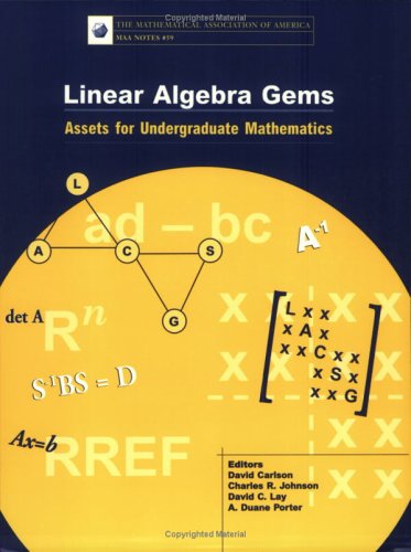 Imagen de archivo de Linear Algebra Gems: Assets for Undergraduate Mathematics (The Mathematical Association of America Notes Series, Volume 59) a la venta por HPB-Red