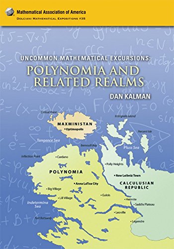 Stock image for Uncommon Mathematical Excursions. Polynomia and Related Realms (Dolciani Mathematical Expositions #35) for sale by Literary Cat Books