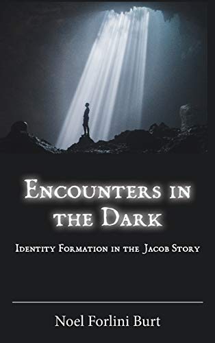 Stock image for Encounters in the Dark: Identity Formation in the Jacob Story (Semeia Studies) for sale by suffolkbooks