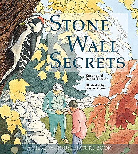 9780884482291: STONE WALL SECRETS: 0 (Tilbury House Nature Book)