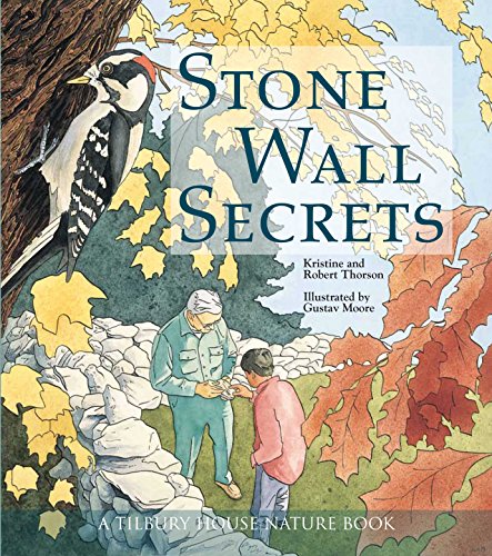 Imagen de archivo de Stone Wall Secrets (Tilbury House Nature Book) a la venta por SecondSale