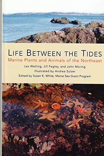 Stock image for Life Between the Tides: Marine Plants and Animals of the Northeast for sale by ThriftBooks-Atlanta