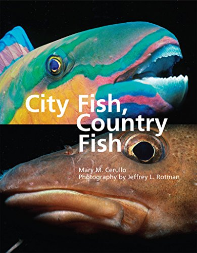 Imagen de archivo de City Fish, Country Fish a la venta por Better World Books