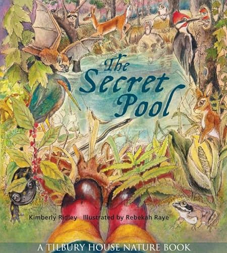 9780884483397: The Secret Pool (Tilbury House Nature Book)