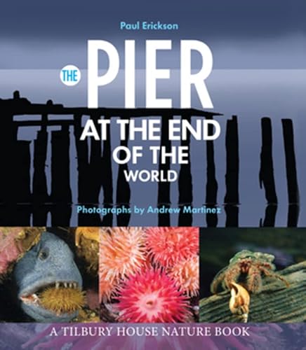 Beispielbild fr The Pier at the End of the World zum Verkauf von Better World Books