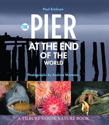 Stock image for The Pier at the End of the World for sale by Better World Books: West