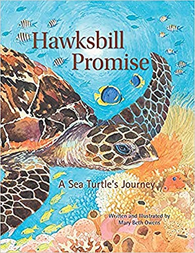 Imagen de archivo de Hawksbill Promise: The Journey of an Endangered Sea Turtle (Tilbury House Nature Book) a la venta por HPB-Emerald