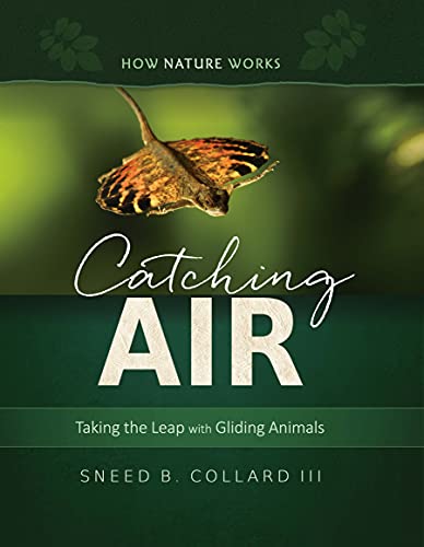 Imagen de archivo de Catching Air: Taking the Leap with Gliding Animals (How Nature Works, Band 0) a la venta por Buchpark