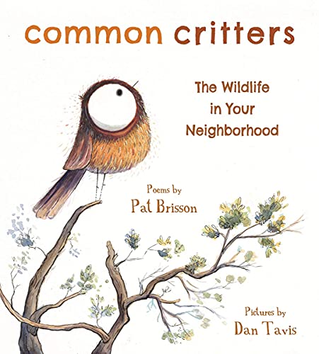 Beispielbild fr Common Critters: The Wildlife in Your Neighborhood zum Verkauf von Buchpark