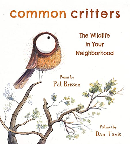 Stock image for Common Critters: The Wildlife in Your Neighborhood for sale by Goodwill of Colorado