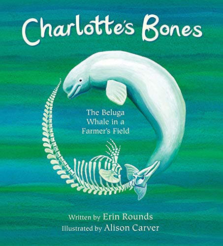 Stock image for Charlotte's Bones: The Beluga Whale in a Farmer's Field Format: Paperback for sale by INDOO