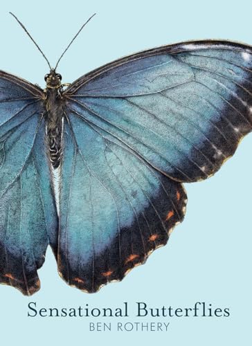 Imagen de archivo de Sensational Butterflies (Rotherys Animal Planet Series) a la venta por GoodwillNI