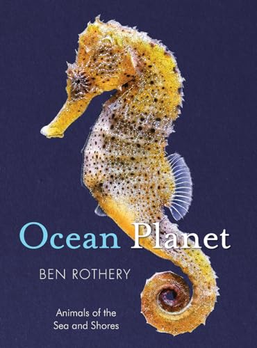 Imagen de archivo de Ocean Planet: Animals of the Sea and Shore (Rotherys Animal Planet Series) a la venta por Big River Books