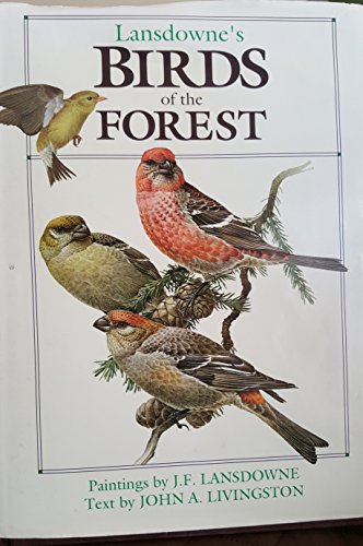 Beispielbild fr Birds of the Forest zum Verkauf von Ergodebooks